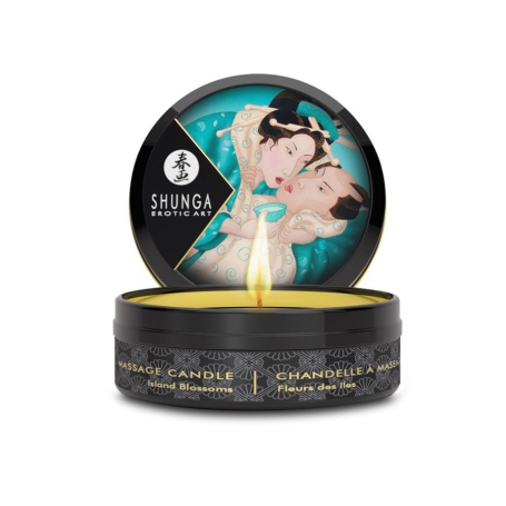 Набор Shunga Calendar of Desires